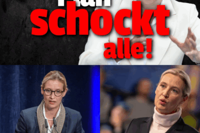 Die Steuer-Revolution, die Berlin erzittern lässt: Warum das „Konzept 25“ der Albtraum der Etablierten und die Hoffnung der Bürger ist