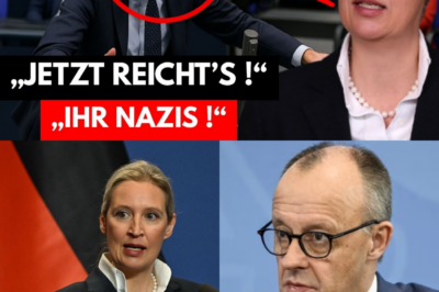 Frontalangriff im Bundestag: Alice Weidel rechnet gnadenlos mit Friedrich Merz ab – Gebrochene Versprechen und gefährliche Eskalation im Fokus