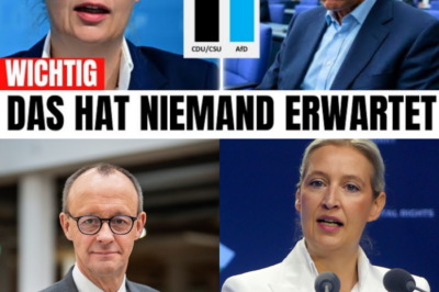 Historische Niederlage im Bundestag: CDU-Rebellen stürzen Merz’ Migrationspaket – Weidel ruft das Ende der Kanzlerschaft aus