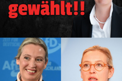 Politisches Beben in Gelsenkirchen: AfD-Mann überraschend zum Vizebürgermeister gewählt – SPD und CDU unter Schock über “Verrat” in eigenen Reihen