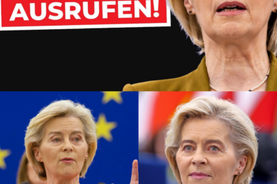 Demokratie im “Notstand”: Wie Brüssel mit Tricks an russisches Vermögen will und was das für dein Geld bedeutet