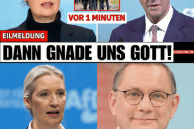 „Gnade uns Gott“: AfD zündet politische Bombe und warnt vor historischem Kontrollverlust der Regierung