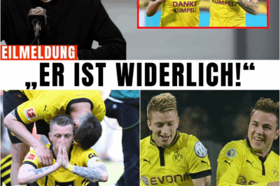 Die fünf stillen Schnitte: Marco Reus enthüllt die Namen und bitteren Geschichten, die das Vertrauen der BVB-Ikone am tiefsten zerbrachen