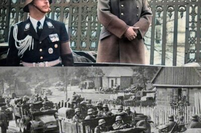 Heinrich Himmler: Aufstieg und Fall des dritten Reichsführers SS Hitlers