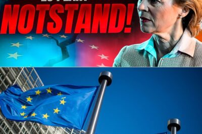 EILMELDUNG: EU plant NOTSTAND! DAS erwartet dich JETZT!