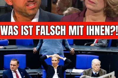 ZENSUR-EKLAT: Als ein AfD-Mann diesen einen Satz sagt, wird die Hilflosigkeit der gesamten Runde sichtbar – Schweigen, Empörung und eine Grenze im politischen Diskurs