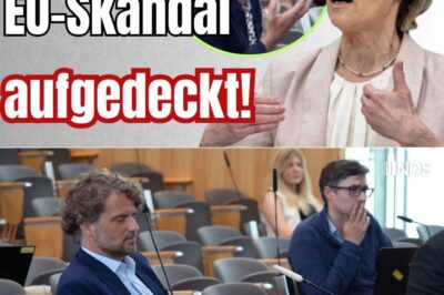 SKANDAL IM STAAT: Öffentliche Empörung nach brisanter Aussage – Wer entscheidet, was wir noch sagen dürfen?