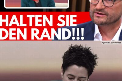 🚨 VOR 5 MINUTEN!!! HAYALI KRIEGT AUF DIE SOCKEN!!! Springer teilt im MOMA heftig aus!