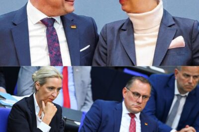 So lief die kurze Romanze zwischen AfD-Politiker aus MV und den Familienunternehmern