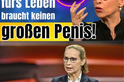 PEINLICH 💥Brosius-Gersdorf zündet steile These und erntet Gelächter!