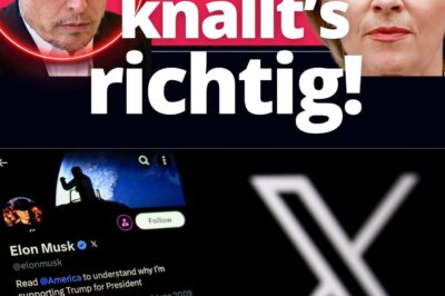 EU Eskalation gegen Elon Musk: “Drakonische Strafen geplant!”
