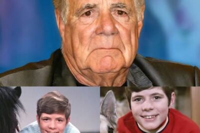 Der stille Kummer des Wunderkindes: Heintje Simons bricht sein Schweigen und enthüllt das lebenslange Trauma der gestohlenen Kindheit