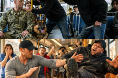 Zwei Männer belästigen einen stillen Fremden und seinen Hund Seine wahre Identität schockierte alle!