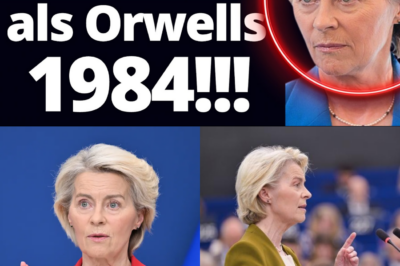 EU-Schock: Wird Kritik an der Klimapolitik bald strafbar? Neuer Bericht fordert Einstufung als „systemisches Risiko“ und gezielte Umerziehung der „Arbeiterklasse“