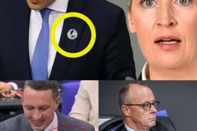 Politisches Erdbeben: AfD deckt Doppelmoral auf – Minister-Skandal um Plagiate und NSDAP-Nadel bringt die Altparteien in Erklärungsnot