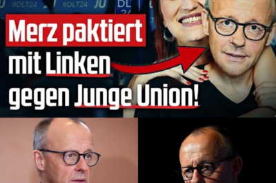 Professioneller Wortbruch: Merz paktiert mit Linkspartei gegen die eigene Jugend – Die Blamage der Union ist historisch