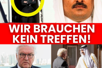 Historische Blamage: Als die Welt zusah, wurde Bundespräsident Steinmeier am Flughafen vergessen – Der Preis für Deutschlands gespaltene Politik