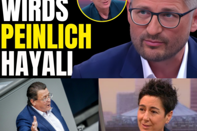 Korruption und Sabotage: Brandners Bombe im Bundestag – ‘Die Ampel ist am Ende’ und das Kartell der Altparteien entlarvt