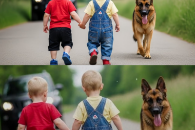 2 Babys im Wald ausgesetzt – doch ein Schäferhund rettet sie und alle brechen in Tränen aus!
