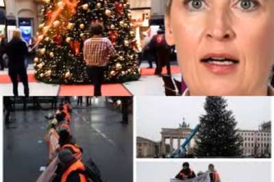 CHAOS IM ADVENT: Münchens Weihnachtsmarkt eskaliert dramatisch – Zwischen Zerstörung, Klima-Sabotage und dem peinlichen Kontrast der Politik-Klasse