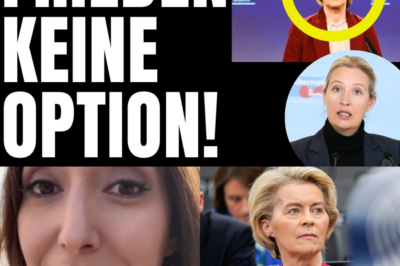 DIE FRIEDENSSABOTAGE: Ursula von der Leyen will in letzter Sekunde abkassieren und provoziert für 120 Millionen Euro den nächsten Weltkonflikt