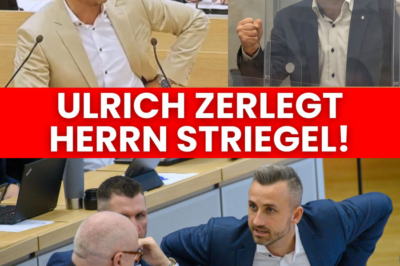 „Die Welt nicht retten“: AfD-Mann zerreißt die Migrationspolitik – Der schockierende Faktencheck zu Bürgergeld und syrischen Ärzten