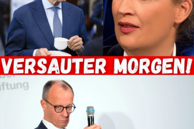 Die Kanzlerinnen-Macherin und der deutsche Niedergang: Alice Weidel rechnet mit der Renten-Bombe und der China-Politik der Ampel ab