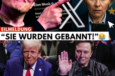 Schock-Gegenschlag von Elon Musk: X sperrt die EU-Kommission für Werbung – Die Abrechnung mit den „Steuergeld-Vampiren“ der Digital-Bürokratie