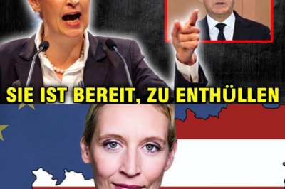 Das Scherbengericht der Spitzenpolitikerin: Alice Weidel bricht mit 46 das Schweigen – Die fünf Stars, die sie aus tiefstem Herzen verachtet