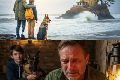 Veteran und Sohn erhalten ein Haus auf gefährlicher Insel, Was der Hund fand, rettete sie…_d