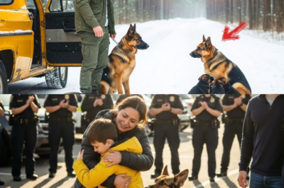 “Komm mit mir…” Der Veteran sagt, Nachdem er die Mutterhündin und ihre Welpen allein im…_d