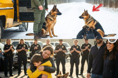 Aus der Eis-Hölle ins Glück: Vom traumatisierten Veteran zum Retter – Wie Schäferhündin Luna mit ihren Welpen das Herz des Ex-Soldaten Friedrich Weber heilte