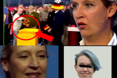 Der Kulturkampf um Schwarz-Rot-Gold: „Dieses Video SCHOCKT ganz Deutschland“ – Die AfD prüft Klage gegen den ÖRR und das Erbe der Merkel-Ära