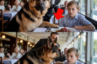 Der Magen-Alarm vom Tisch 7: Wie ein Berliner Restaurant-Hund ein tödliches Rachekomplott gegen ein Kind vereitelte