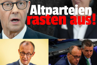 Die Trump-Connection: Wie die AfD die Gesprächskanäle zur Welt offen hält und Merz’ Wortbruch bei den Grenzkontrollen die Glaubwürdigkeit der Union untergräbt