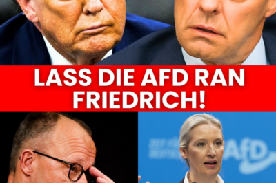 Beben in Berlin: Trump bestätigt AfD-Kurs – Ist das die totale Blamage für Merz und die Ampel?
