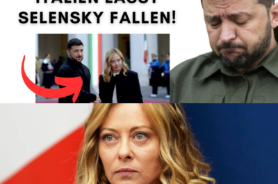 Eiskalte Dusche in Rom: Meloni fordert „schmerzhafte Zugeständnisse“ – Selenskyj verliert seinen wichtigsten Verbündeten an Trump!