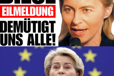 Brüssel blockiert Industrie-Rettung: EU verbietet Strompreis-Senkung – Ist Deutschland nicht mehr souverän?