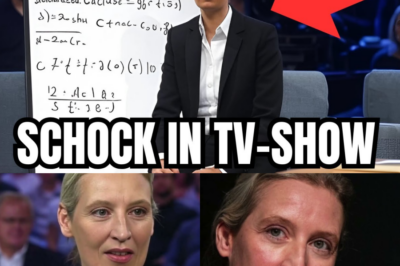 Live-Blamage für linke Lehrerin: Alice Weidel wird zur Rechen-Prüfung herausgefordert und demütigt ihre Gegnerin mit genialer Antwort!