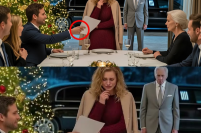 Weinend unterschreibt sie die Scheidung an Weihnachten – niemand ahnt, dass ihr Vater Milliardär ist_d