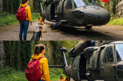 Eine einsame Mechanikerin findet einen seit Jahren verschollenen Hubschrauber: Was ihr Hund darin…_dd