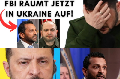 Verrat auf höchster Ebene: Umerov packt beim FBI aus – Zittert jetzt die ganze EU?