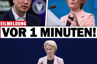 Musks digitaler Blitzkrieg: Wie Elon Musk die Propagandamaschinerie der EU zerschlug und Brüssel in panische Hysterie stürzte