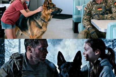 Der Schweigende Befehl: Wie ein verwundeter K9-Hund mit einem achtjährigen Mädchen den entführten Sohn eines Navy SEAL durch einen gefrorenen Wald rettete