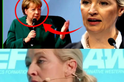 „Die späte Rache der Sowjetunion?“ – Alice Weidel enthüllt schockierende Theorie über Angela Merkel und spricht von gezielter Zerstörung Deutschlands