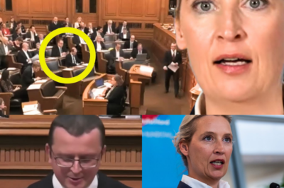 Mordversuche und Brandanschläge: AfD-Sitzung entgleist nach Enthüllung brutaler Gewalt – „Täter sitzen im Publikum!?“