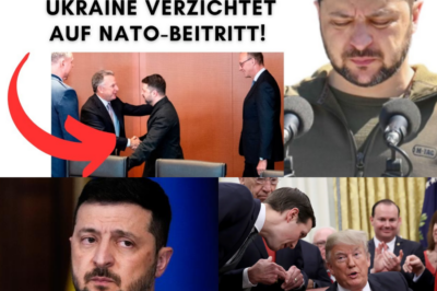 Selenskyj kapituliert vor der Realität: NATO-Verzicht offiziell – Ist das der geheime Deal mit den USA?