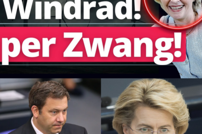 EU-Diktat aus Brüssel: Windräder per Zwang & Bundesländer entmachtet – Das Ende des Naturschutzes?