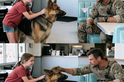 „Mein Hund findet Ihren Sohn“ – Wie ein kleines Mädchen und ein außergewöhnlicher Schäferhund ein Wunder vollbrachten