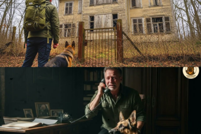 Der Veteran kaufte die Villa für 1.500€, Was sein Schäferhund darin fand, änderte alles…
